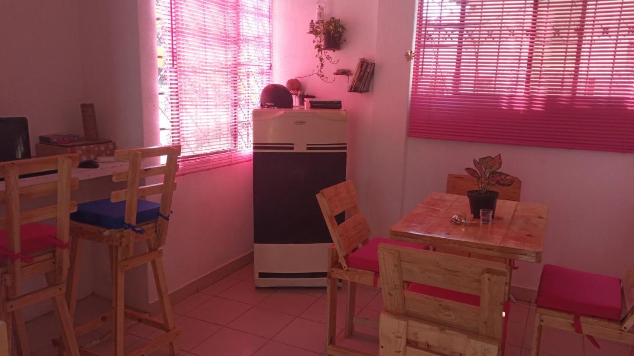 Cat Family Lodging Leilighet Cartagena Eksteriør bilde