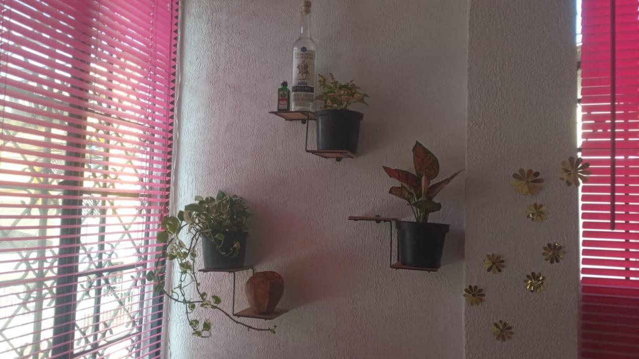 Cat Family Lodging Leilighet Cartagena Eksteriør bilde